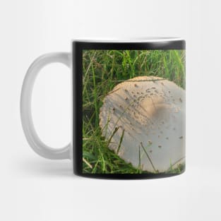 White Mushroom Mug